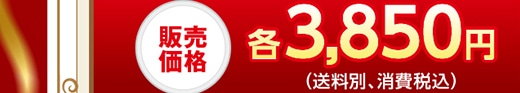 ̔i e3,850~(ʁAō) 