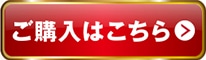 SOARA ver. ̔i 3,300~(ʁAō) w͂