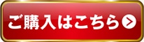 QUELL ver. ̔i 2,640~(ʁAō) w͂