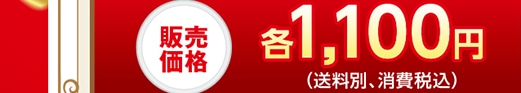 ̔i e1,100 ~(ʁAō)