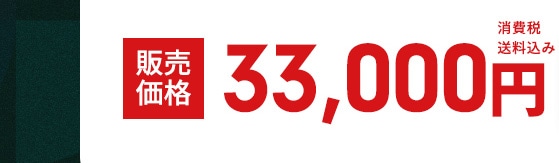 �̔����i 33,000�~ ����ő����� 