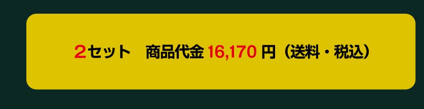 2�Z�b�g ���i��� 16,170�~ (�����E�ō�)