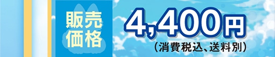 ̔i 4,400~(ōA)