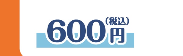 600�~�i�ō��j