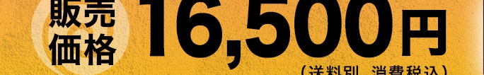 �̔����i 16,500�~�i�����ʁE����ō��j