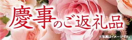 QOQTNx@ĉԗi@H~