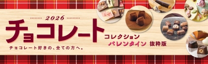 �Q�O�Q�U�N�@�`���R���[�g�R���N�V�����E�o�����^�C���������ߏ��i�i�����Łj