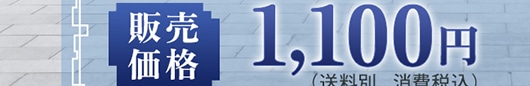 ̔i 1,100~ (ʁAō)