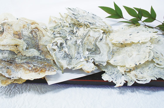 ��m���̂�������ׂ��a