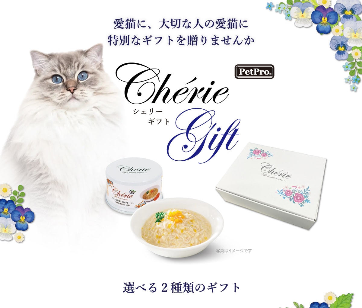 LɁA؂Ȑl̈LɓʂȃMtg𑡂܂PetProChérieGiftVF[MtgIׂ2ނ̃Mtg