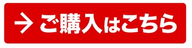 RC w͂