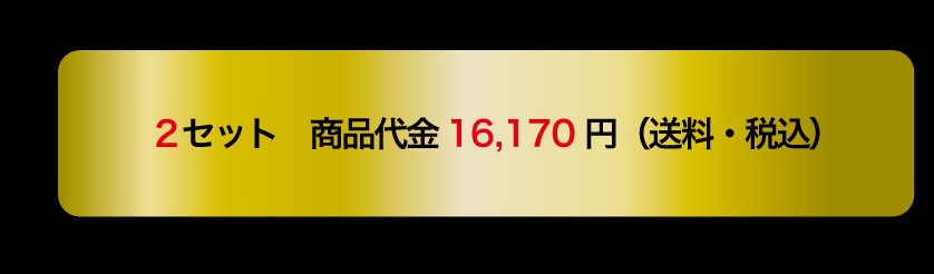 2�Z�b�g ���i��� 16,170�~�i�����E�ō��j