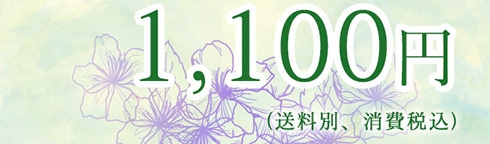 1,100�~�i�����ʁA����ō��j