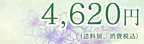 4,620�~�i�����ʁA����ō��j