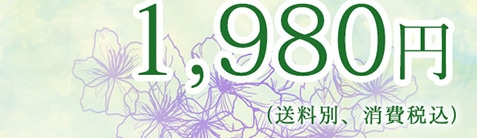 1,980�~�i�����ʁA����ō��j
