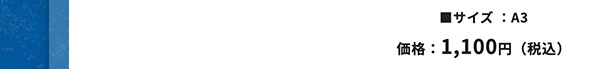���T�C�Y:A3 ���i:1,100�~�i�ō��j