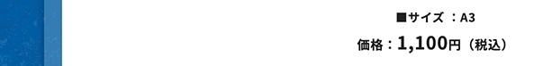 ���T�C�Y:A3 ���i:1,100�~�i�ō��j