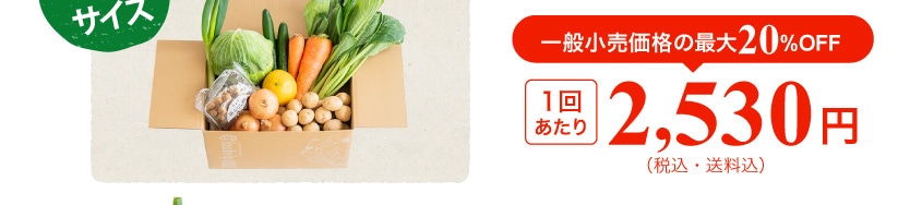 ��ʏ������i�̍ő�20%OFF 1�񂠂��� 2,530�~(�ō��E������)