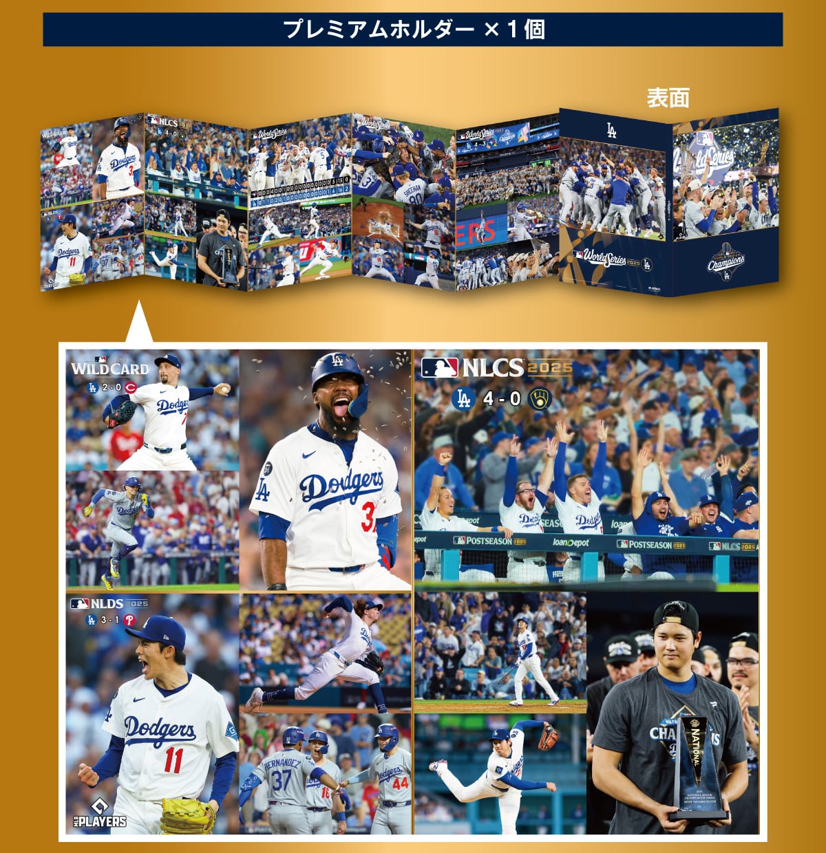 �v���~�A���z���_�[�~1�@�\��