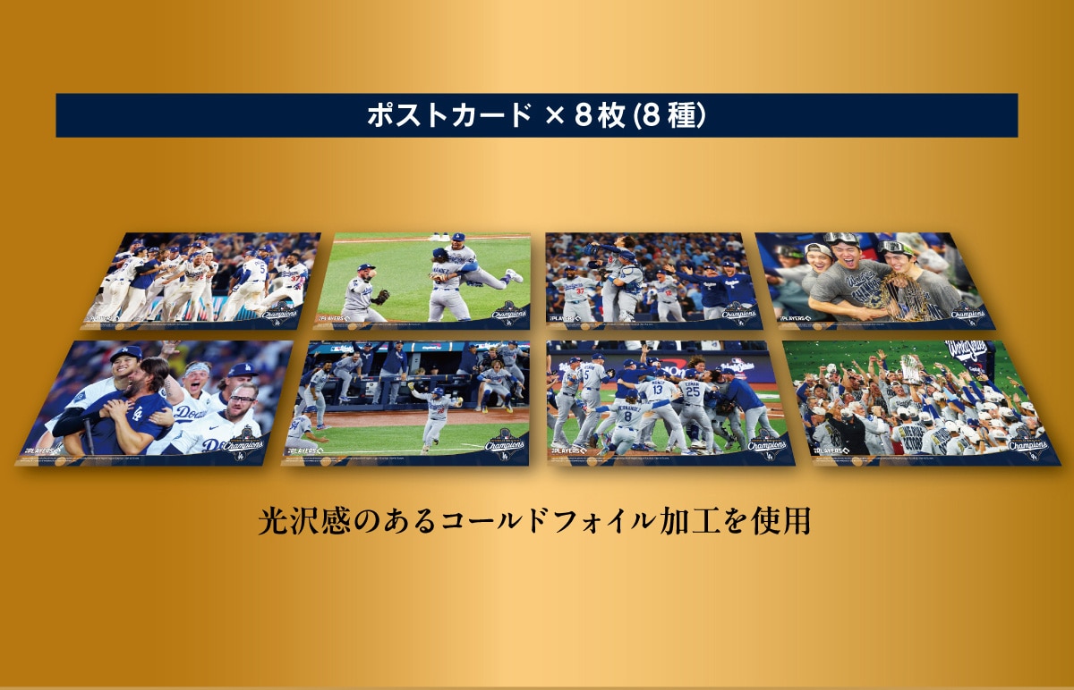 �|�X�g�J�[�h�~8���i8��j���򊴂̂���R�[���h�t�H�C�����H���g�p