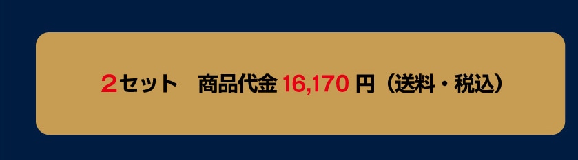 2�Z�b�g ���i����@16,170�~�i�����E�ō��j