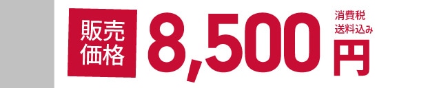 �̔����i 8,500�~ ����ŁE��������