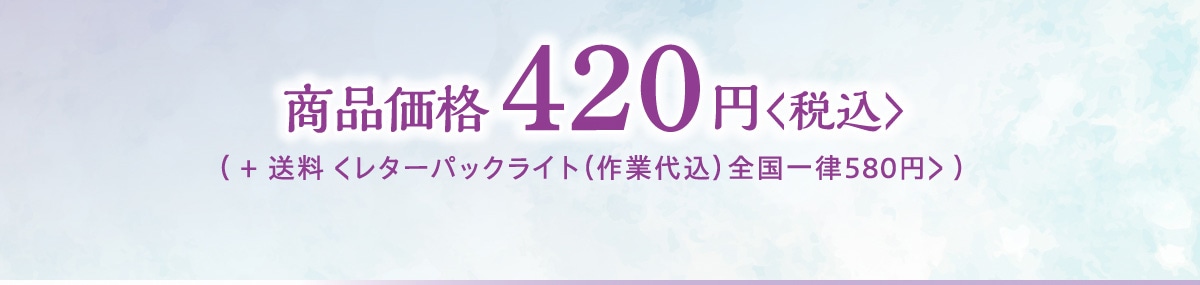 ���i���i420�~�q�ō��r( + ���� �����^�[�p�b�N���C�g(��Ƒ㍞) �S���ꗥ580�~> ) 