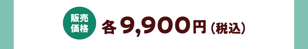 ̔i e9,900~iōj