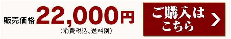 ̔i 22,000~(ōA) w͂>