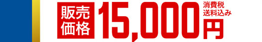̔i15,000~ő