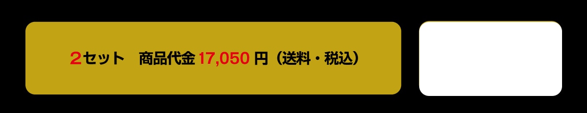 2�Z�b�g���i���17,050�~(�����E�ō�)