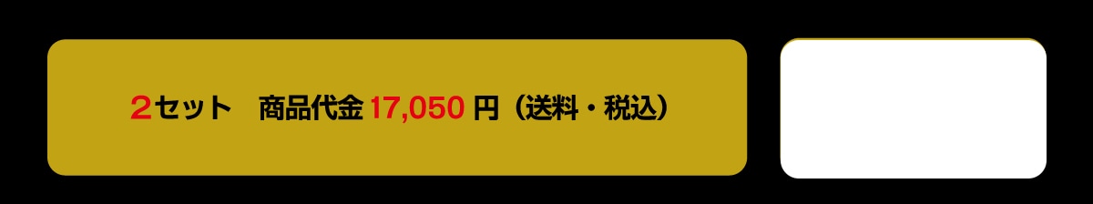 2�Z�b�g���i���17,050�~(�����E�ō�)