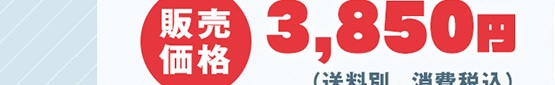 ̔i 3,850~(ʁAō)