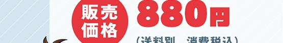 ̔i 880~(ʁAō)