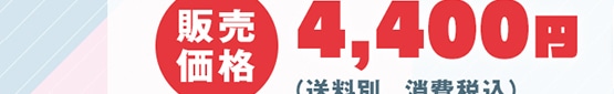 ̔i 4,400~(ʁAō)