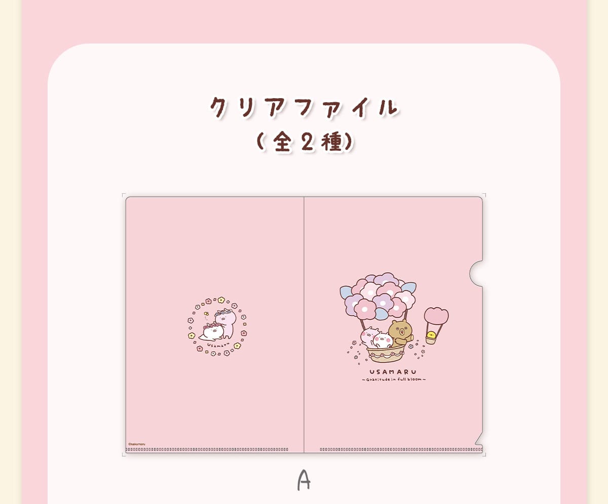 �N���A�t�@�C���i�S2��jA