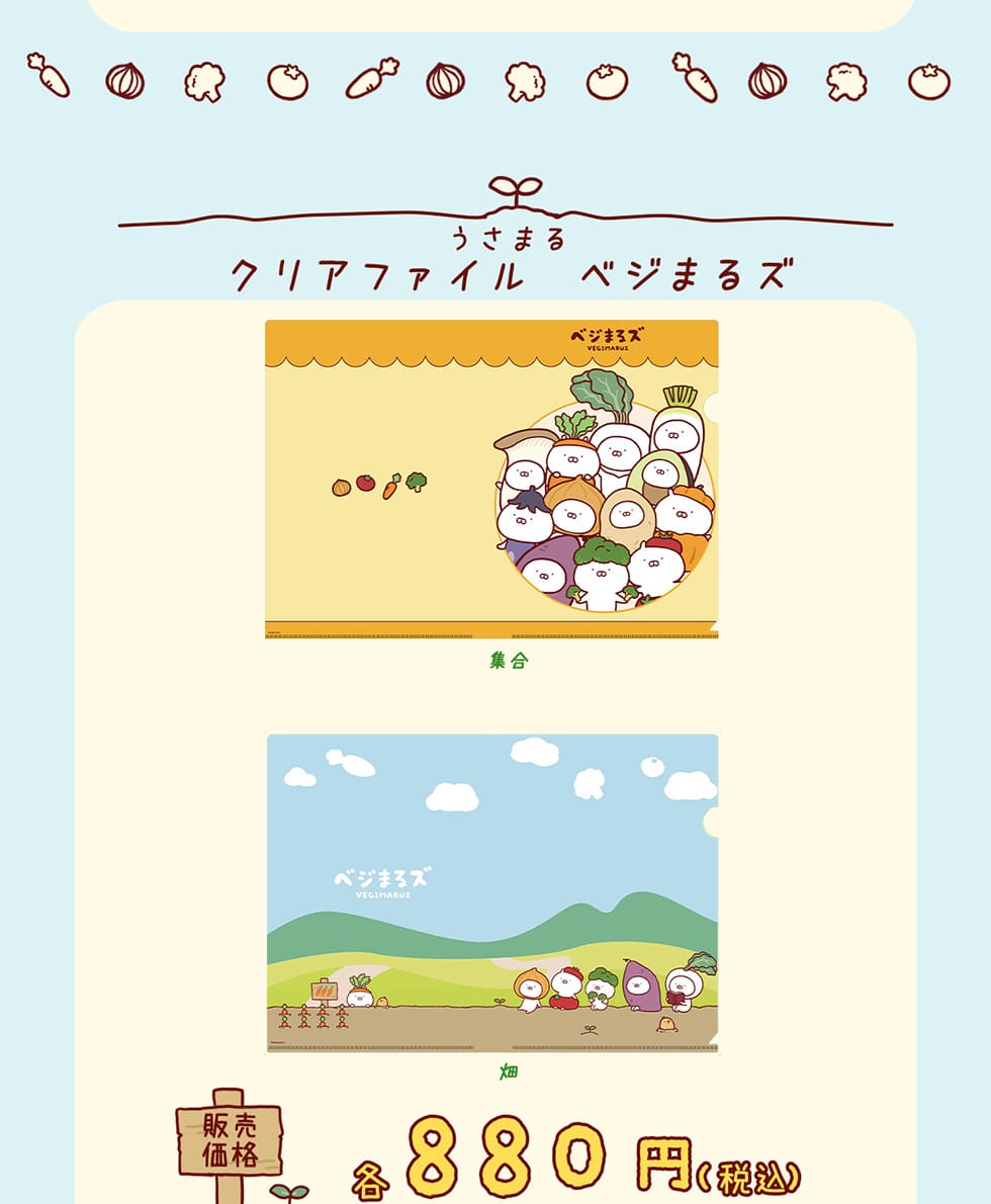 �����܂�@�N���A�t�@�C���@�x�W�܂�Y�@�W���@���@�̔����i �e880�~�i�ō��j