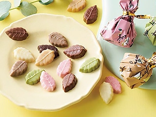 �����������[�������[�t�������[�M�t�g�{�b�N�X 18��