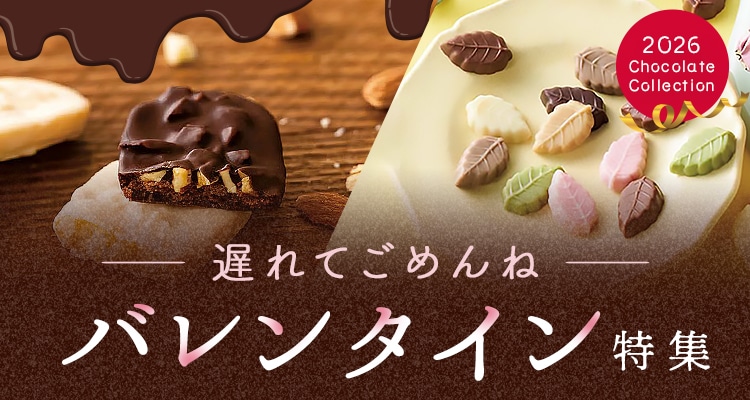 �o�����^�C�����W2027