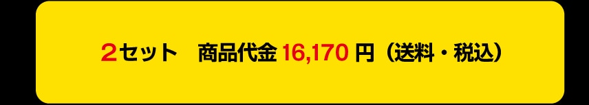 2�Z�b�g ���i��� 16,170�~ (�����E�ō�)