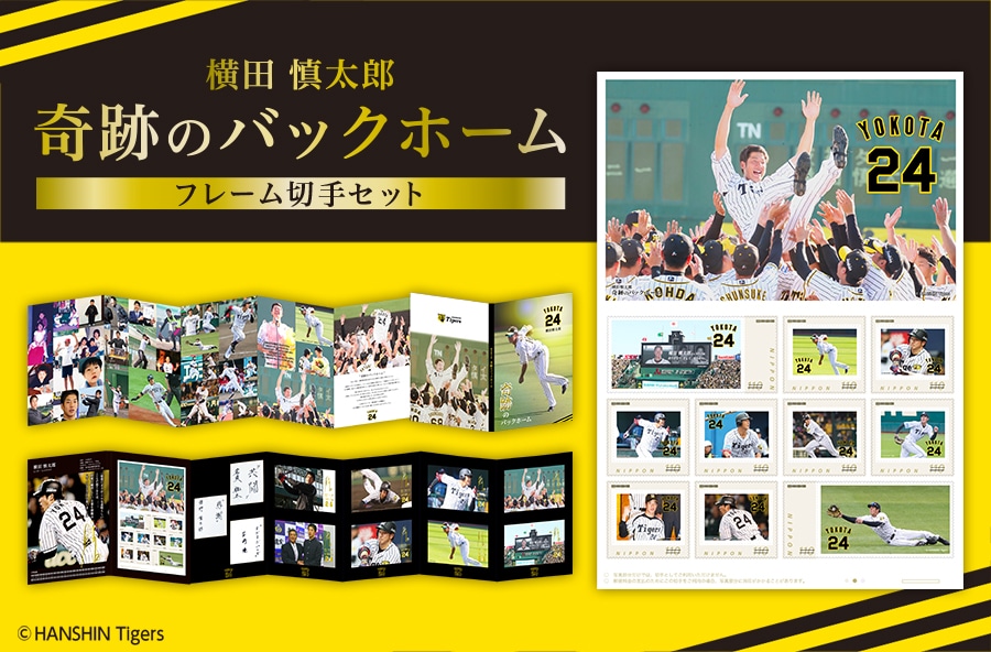 ���c�T���Y ��Ղ̃o�b�N�z�[�� �t���[���؎�Z�b�g