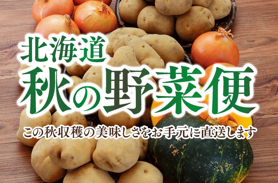 北海道　秋の野菜便