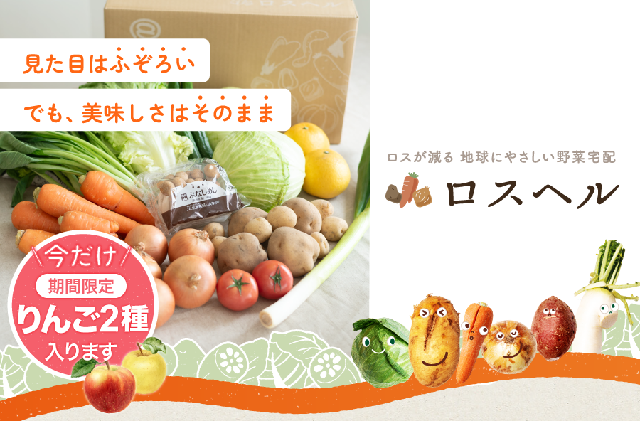 ���X�w���^���X������ �n���ɂ₳������ؑ�z