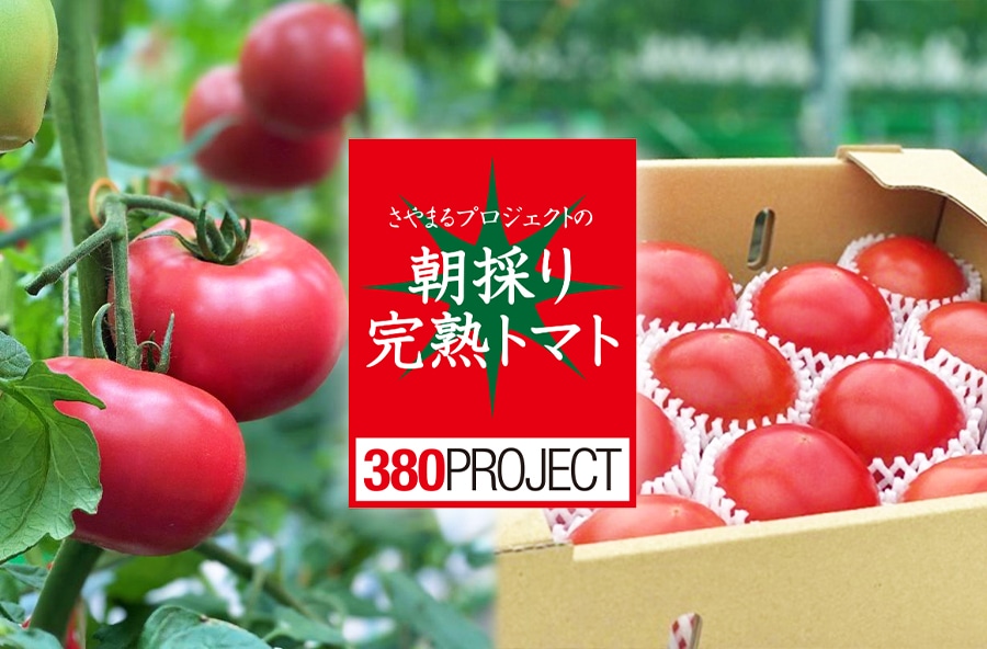 さやまるプロジェクトの朝採り完熟トマト
