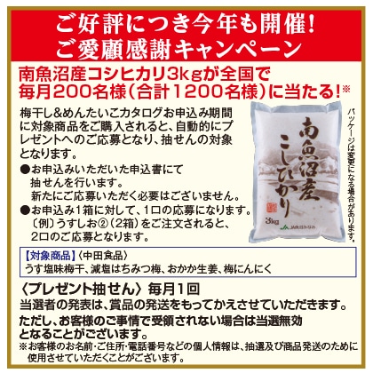 中田食品 うす塩味梅干 個包装 郵便局のネットショップ