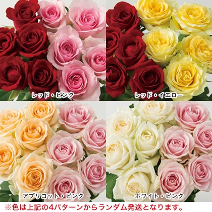 日本の極み　バラ花束（１０本）　【慶事用】