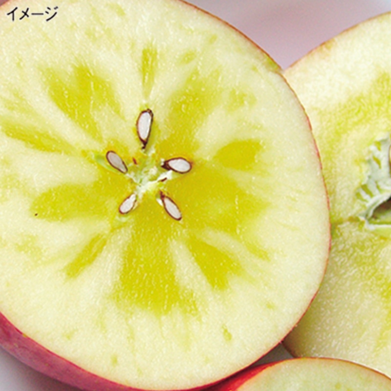 ＜※お歳暮対象商品＞青森県産　蜜入り　サンふじりんご