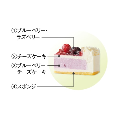 ６月の森チーズケーキ　ドールベリー（お誕生日用）