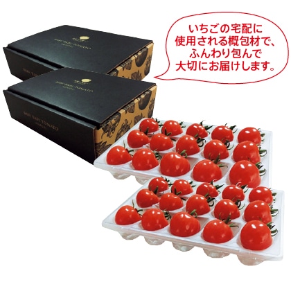 青森県産ミニトマト「ベビーベビー」２箱