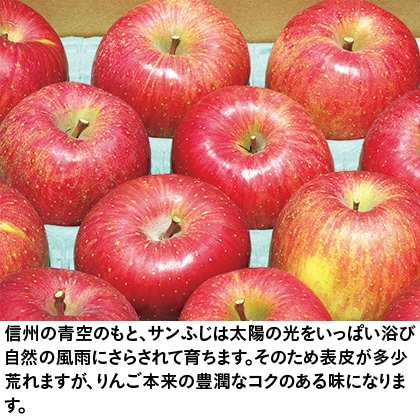 【配送期間限定】信州りんご　サンふじ　ご家庭用　５ｋｇ